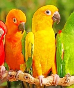 Colorful Parrots On The Tree paint by numbers