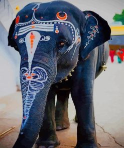 Painted Indian Elephant paint by numbers