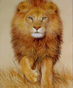 Painting of Lion paint by numbers