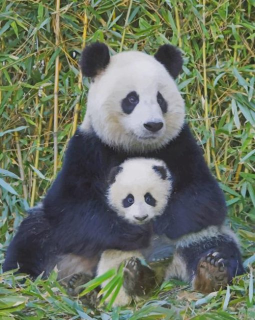 Panda And Baby paint by numbers