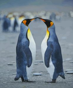 Penguins Love paint by number