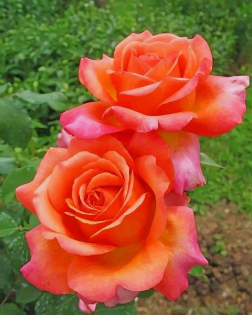Pink Flowers paint by numbers