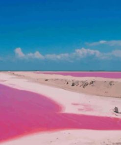 Pink Lake In Mexico paint by numbers