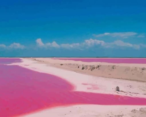 Pink Lake In Mexico paint by numbers