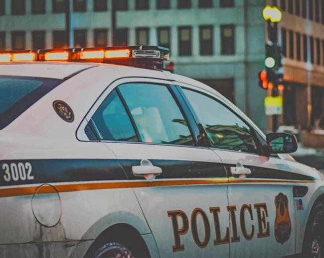 American Police Car paint by numbers