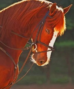 Portrait Cute Horse paint by numbers