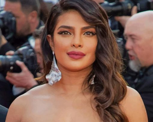 Priyanka Chopra Paint By Numbers