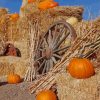 Pumpkin Patch Decorating Halloween paint by numbers