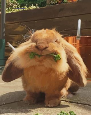 Rabbit Eating paint by numbers