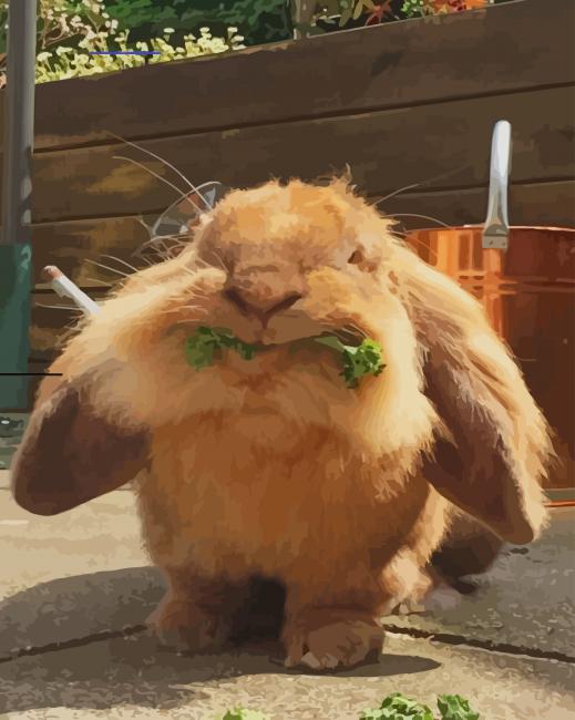 Rabbit Eating paint by numbers