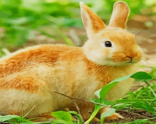Rabbit Lucky Animal paint by numbers