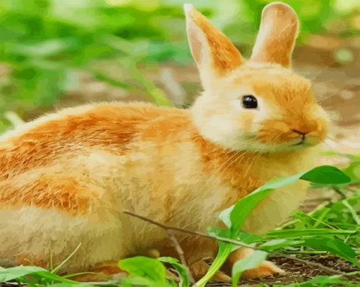 Rabbit Lucky Animal paint by numbers