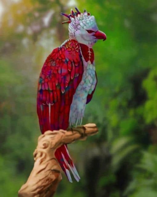 Rainbow Harpy Eagle Bird paint by numbers