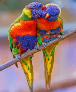 Rainbow Lorikeet paint by numbers