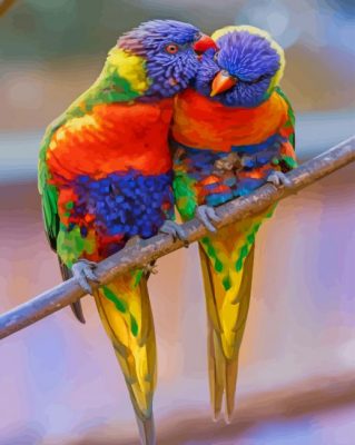 Rainbow Lorikeet paint by numbers