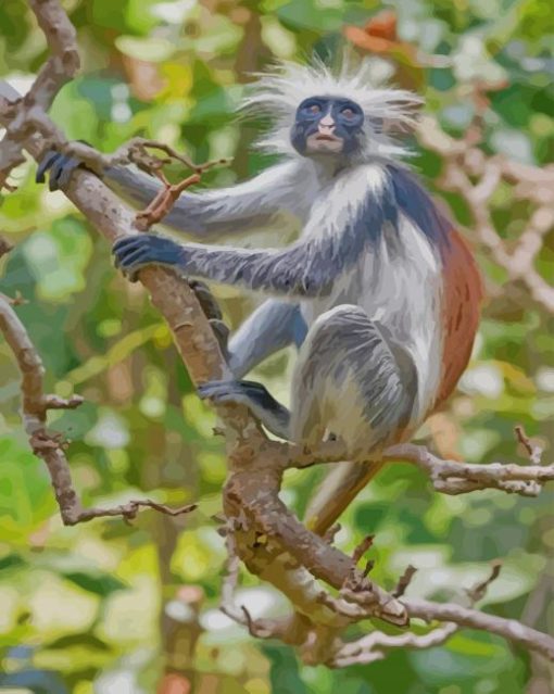 Rare Zanzibar Monkey paint by numbers