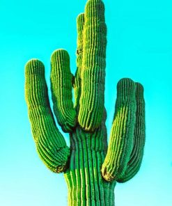 real green cactus painting by numbers