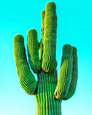 real green cactus painting by numbers