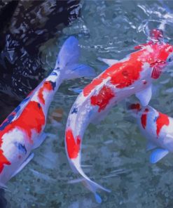 Red And White Koi Fish paint by number