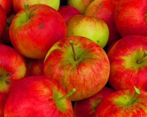 Red Apples painting by numbers