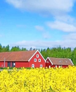 birds farm red paiting by numbers