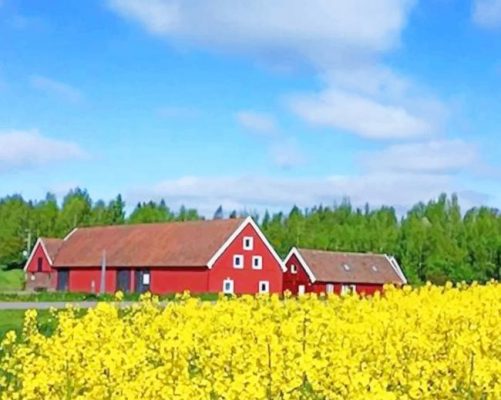 birds farm red paiting by numbers