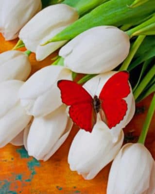 Red Butterfly On White Tulips paint by numbers