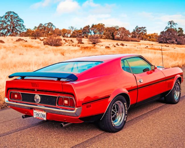 red chevrolet car USA painting by numbers