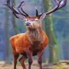 Red deer paint by numbers