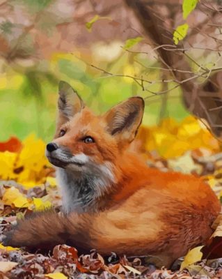 Red Fox In Forest paint by numbers