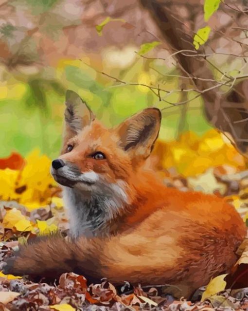 Red Fox In Forest paint by numbers