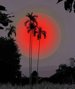 red moon and palm trees paint by numbers