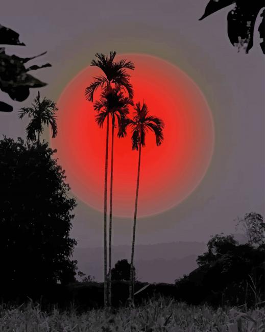 red moon and palm trees paint by numbers