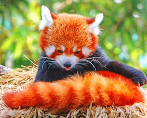 Red Panda In The Nest paint by numbers