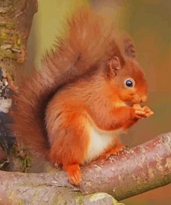 Red Squirrel paint by numbers