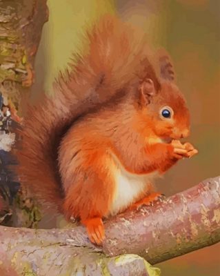 Red Squirrel paint by numbers