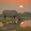 Rhino Sunset paint by numbers