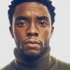 Rip Chadwick Boseman paint by number