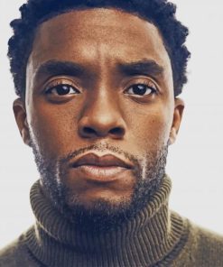 Rip Chadwick Boseman paint by number