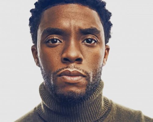 Rip Chadwick Boseman paint by number