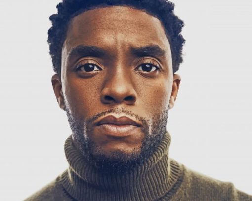 Rip Chadwick Boseman paint by number