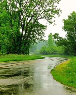 road in rrainy season painting by numbers