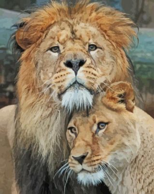 Romance Couple Lion and Lioness paint by numbers