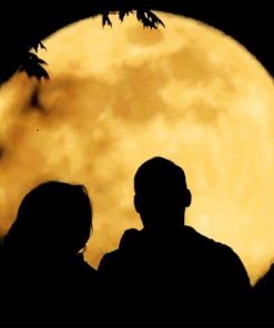 romantic moment wit couples in front of the moon painting by numbers