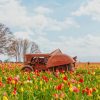 Rusty Tractor In The Field paint by numbers