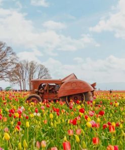 Rusty Tractor In The Field paint by numbers