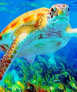 Sea Turtle Under Water paint by numbers