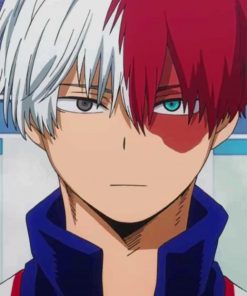 Shouto Todoroki My Hero Academia paint by numbers