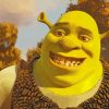 Sherk Disney paint by numbers