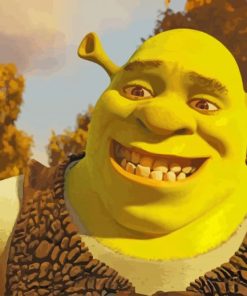 Sherk Disney paint by numbers